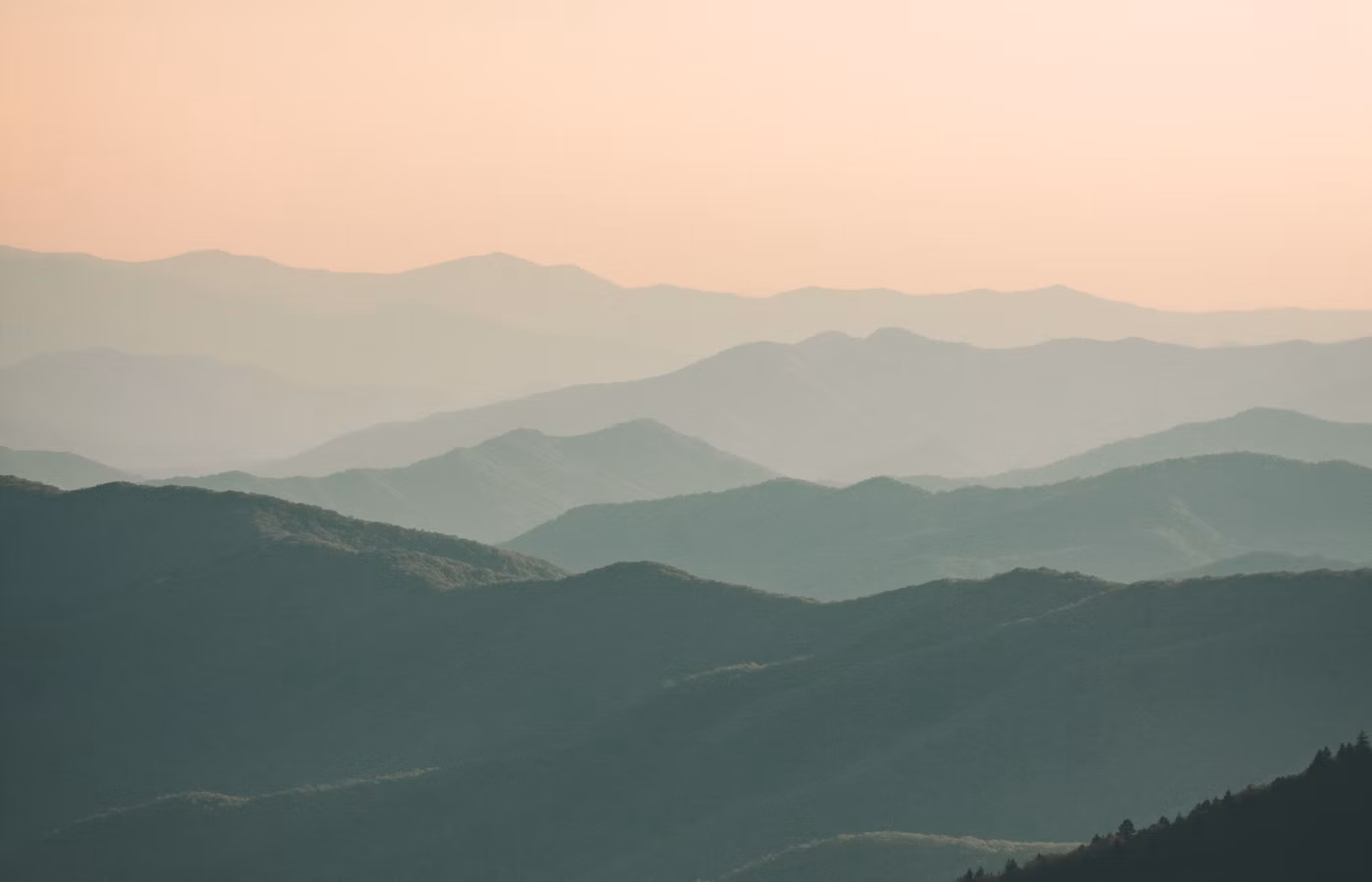 Практики благодарности для человека в перегрузе